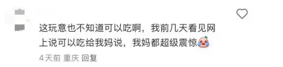 地上经常可见，竟是春日美味！重庆人几乎没吃过，网友：早知能吃，哪有机会掉地上