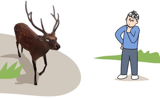 看到这种姿势的鸟千万别救!路边"诡异动物暗号"竟是索命警告 看到这种姿势的鸟千万别救!路边"诡异动物暗号"竟是索命警告