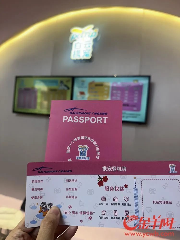 让“毛孩子”轻松飞！全国首个宠物航站楼亮相广州白云机场