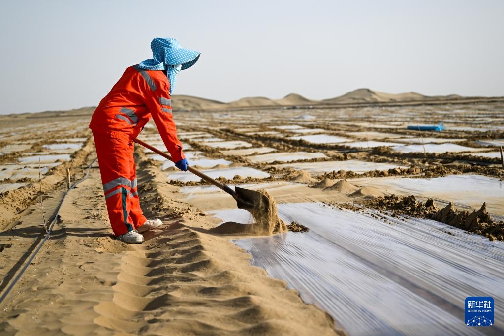 从“锁边”到“扩绿” &nbsp;新疆加快巩固塔克拉玛干沙漠锁边成果