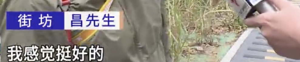 广东一绿道现“搓衣板”减速带？当地回应！记者走访→