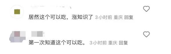 地上经常可见，竟是春日美味！重庆人几乎没吃过，网友：早知能吃，哪有机会掉地上