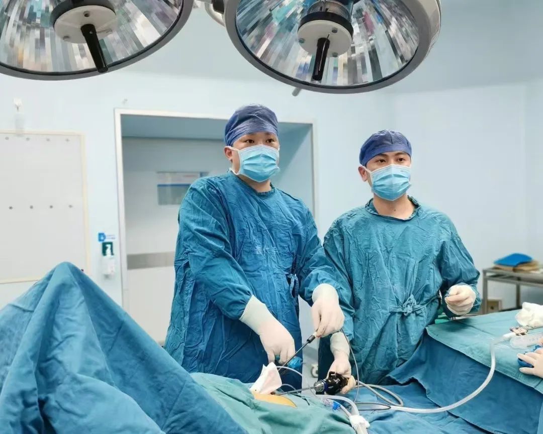 胆结石2年增大3倍!医生切开胆囊惊了:这类“自律”人群需警惕 胆结石2年增大3倍!医生切开胆囊惊了:这类“自律”人群需警惕