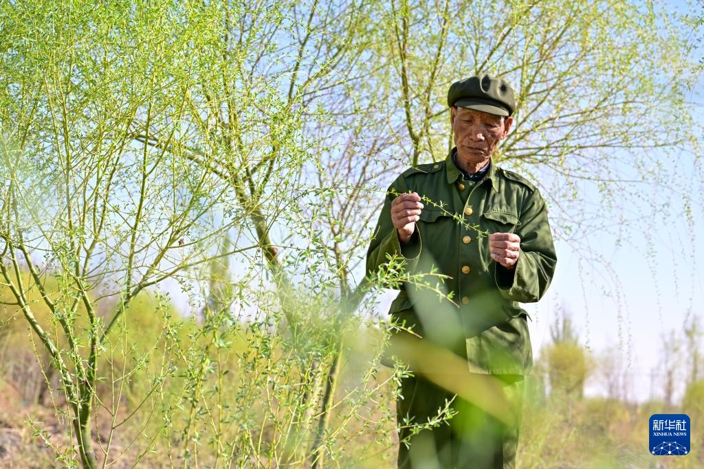 从“锁边”到“扩绿” &nbsp;新疆加快巩固塔克拉玛干沙漠锁边成果