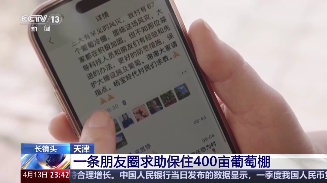 1条朋友圈，保住了400亩葡萄！