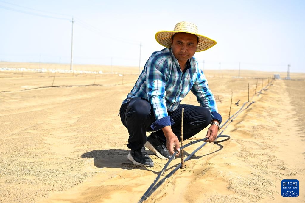 从“锁边”到“扩绿” &nbsp;新疆加快巩固塔克拉玛干沙漠锁边成果