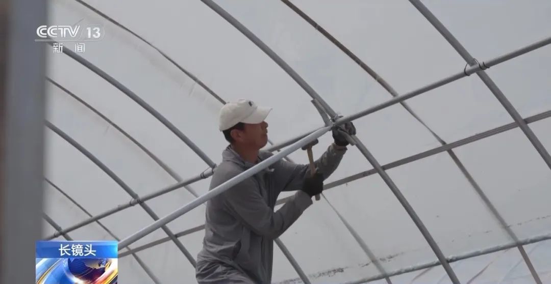 1条朋友圈，保住了400亩葡萄！