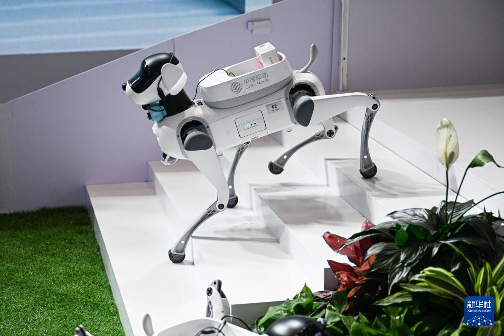 第五届消博会丨多种机器人集结消博会