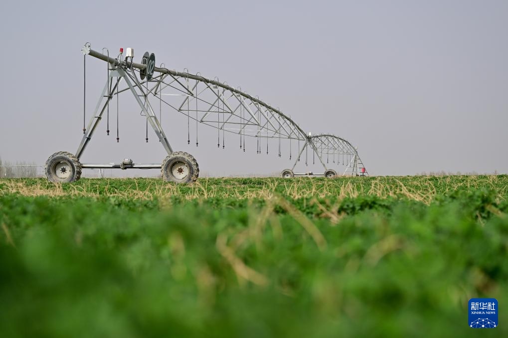 从“锁边”到“扩绿” &nbsp;新疆加快巩固塔克拉玛干沙漠锁边成果