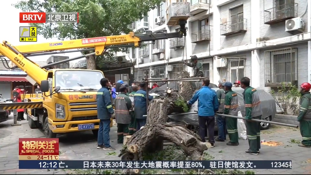 大风过后，被砸车辆如何理赔？车上沙尘如何处理？专家建议——