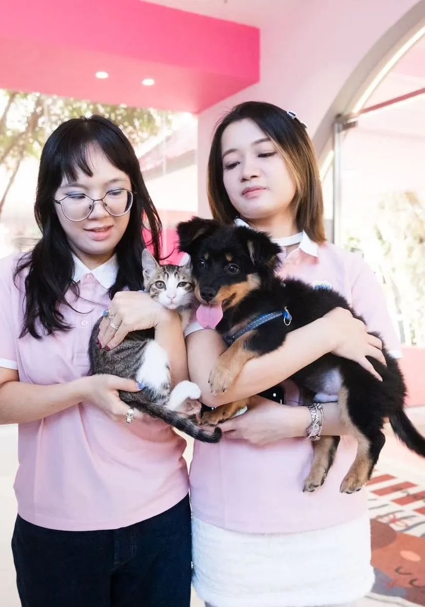 全国首家!广州白云机场宠物航站楼来了,网友:期待已久 全国首家!广州白云机场宠物航站楼来了,网友:期待已久