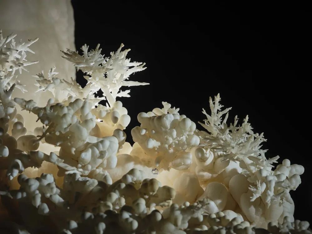 罕见！4.8亿年“地下水晶宫”被发现