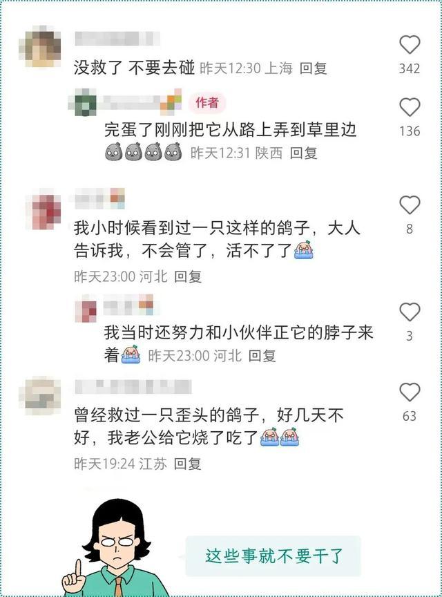 看到这种姿势的鸟千万别救!路边"诡异动物暗号"竟是索命警告 看到这种姿势的鸟千万别救!路边"诡异动物暗号"竟是索命警告