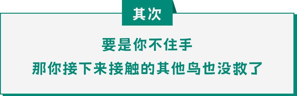看到这种姿势的鸟千万别救!路边"诡异动物暗号"竟是索命警告 看到这种姿势的鸟千万别救!路边"诡异动物暗号"竟是索命警告