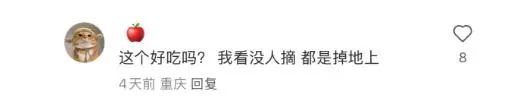 地上经常可见，竟是春日美味！重庆人几乎没吃过，网友：早知能吃，哪有机会掉地上