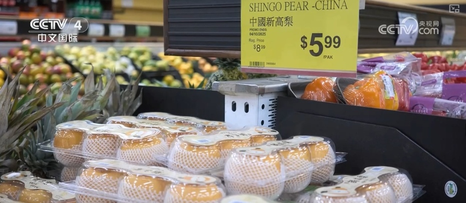 中国在全球贸易格局中扮演重要角色 构建更具韧性区域经济新格局