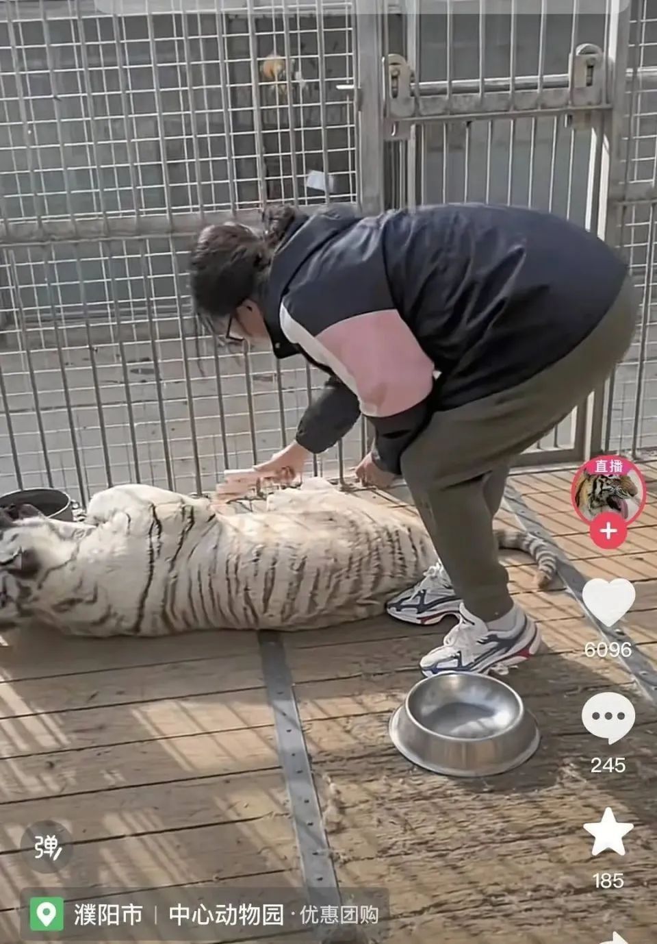 河南一动物园女饲养员走红！回应“狼见了她瑟瑟发抖”：没有刻意摆拍