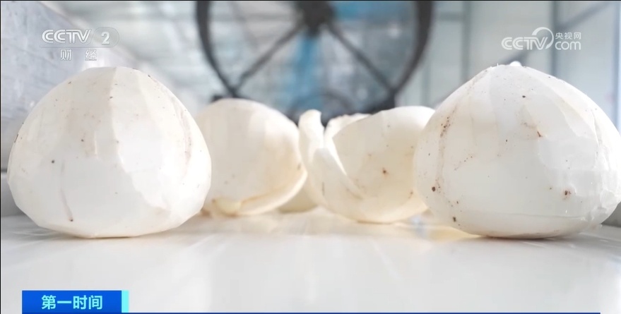 我国首次进口! 我国首次进口!