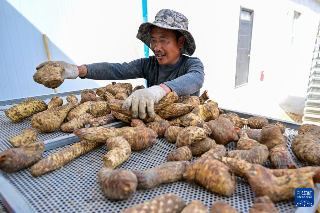 从“锁边”到“扩绿” &nbsp;新疆加快巩固塔克拉玛干沙漠锁边成果