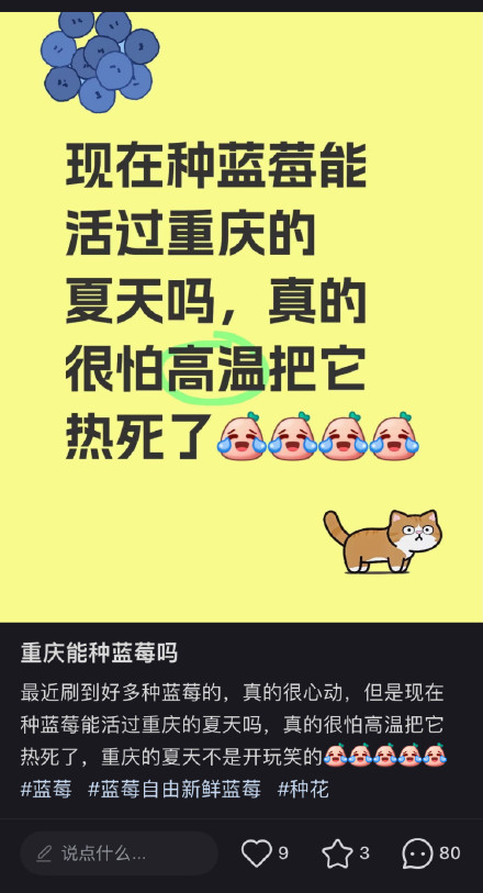 阳台新顶流来了!盆栽蓝莓怎么种,专家这么说 阳台新顶流来了!盆栽蓝莓怎么种,专家这么说
