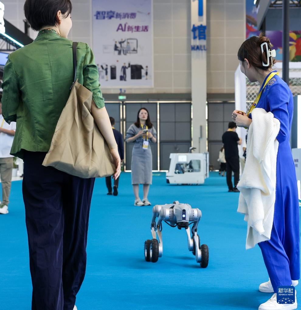 第五届消博会丨多种机器人集结消博会