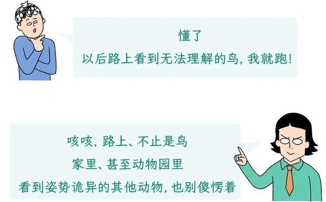 看到这种姿势的鸟千万别救!路边"诡异动物暗号"竟是索命警告 看到这种姿势的鸟千万别救!路边"诡异动物暗号"竟是索命警告