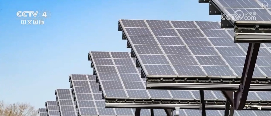 中国在全球贸易格局中扮演重要角色 构建更具韧性区域经济新格局