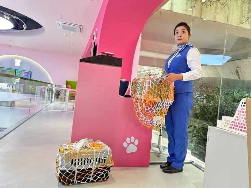 全国首家!广州白云机场宠物航站楼来了,网友:期待已久 全国首家!广州白云机场宠物航站楼来了,网友:期待已久