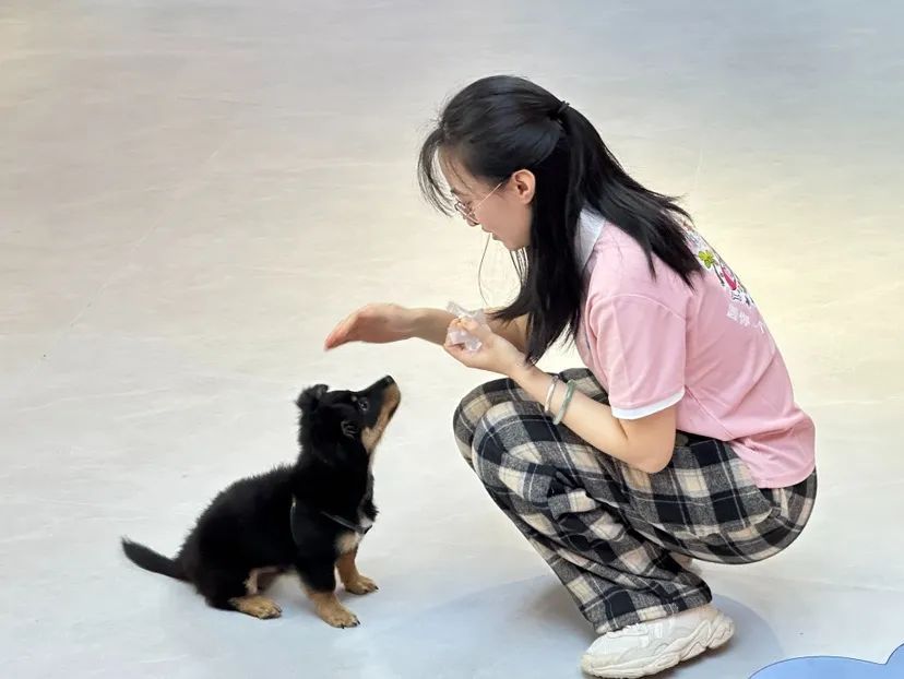 全国首家!广州白云机场宠物航站楼来了,网友:期待已久 全国首家!广州白云机场宠物航站楼来了,网友:期待已久