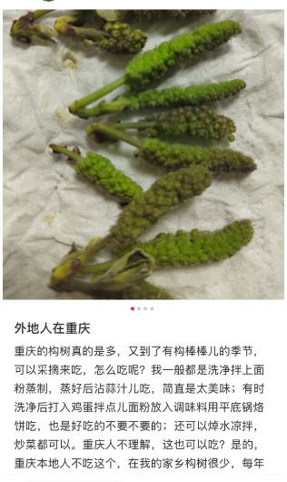 地上经常可见，竟是春日美味！重庆人几乎没吃过，网友：早知能吃，哪有机会掉地上