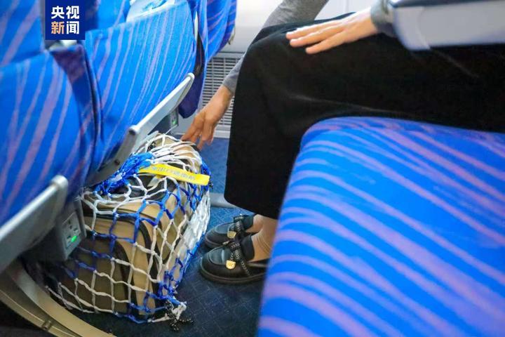 广州白云机场宠物航站楼即将投入运营 提供一站式携宠出行服务