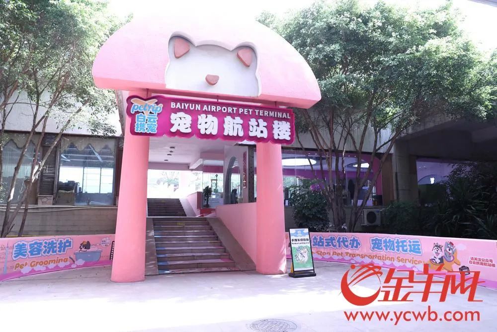 让“毛孩子”轻松飞！全国首个宠物航站楼亮相广州白云机场