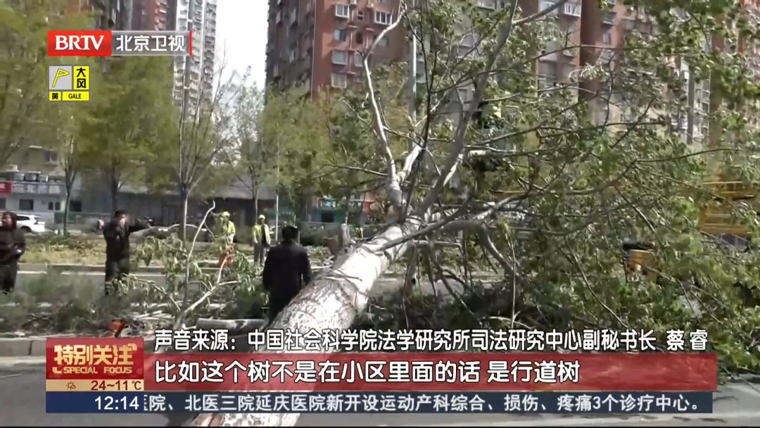 大风过后，被砸车辆如何理赔？车上沙尘如何处理？专家建议——