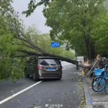 车辆大风中受损保险能赔吗 车辆大风中受损保险能赔吗