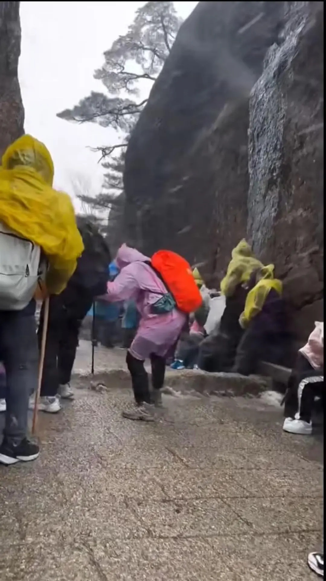 “人差点儿吹没了”!景区回应“爬黄山遇风雪寸步难行” “人差点儿吹没了”!景区回应“爬黄山遇风雪寸步难行”