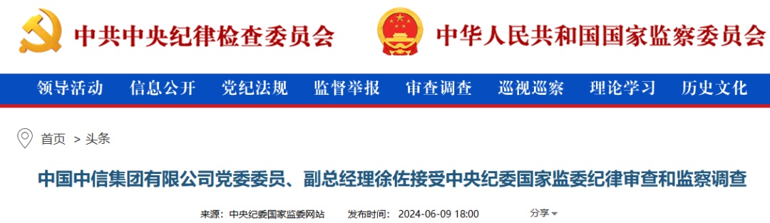 徐佐,对抗组织审查 徐佐,对抗组织审查