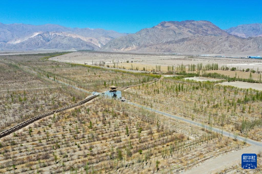 从“锁边”到“扩绿” &nbsp;新疆加快巩固塔克拉玛干沙漠锁边成果