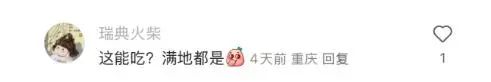 地上经常可见，竟是春日美味！重庆人几乎没吃过，网友：早知能吃，哪有机会掉地上