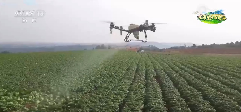 科技“点亮”希望的田野 绘就一幅幅多彩春日生产画卷