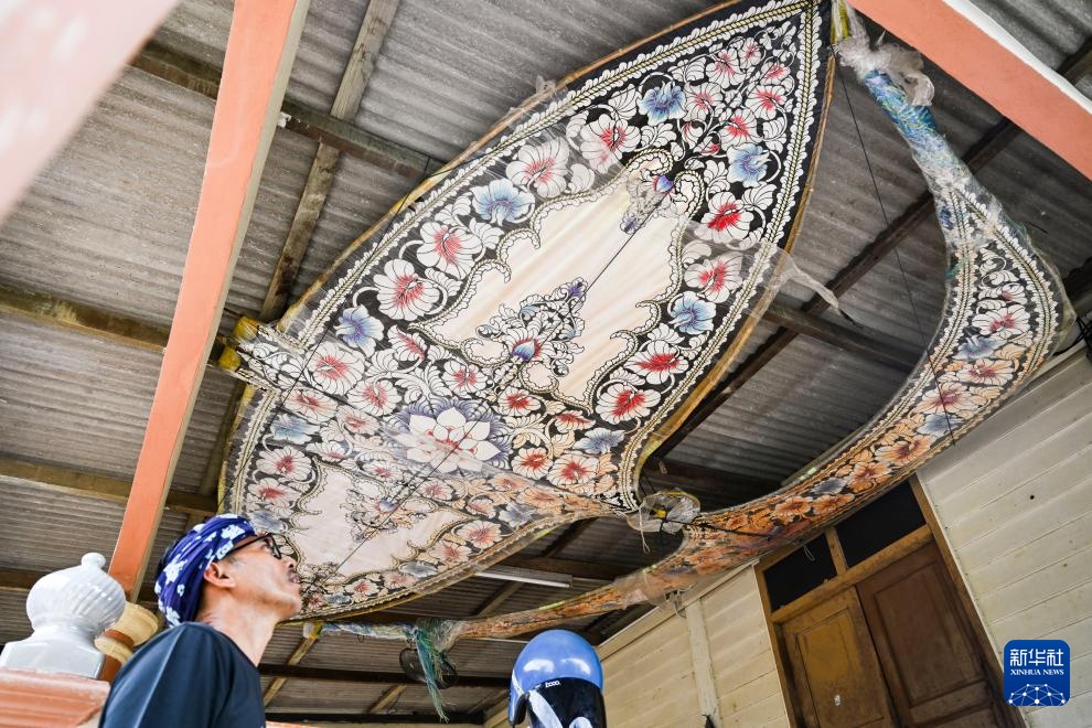 魅力亚太丨鸢飞南洋 魅力亚太丨鸢飞南洋