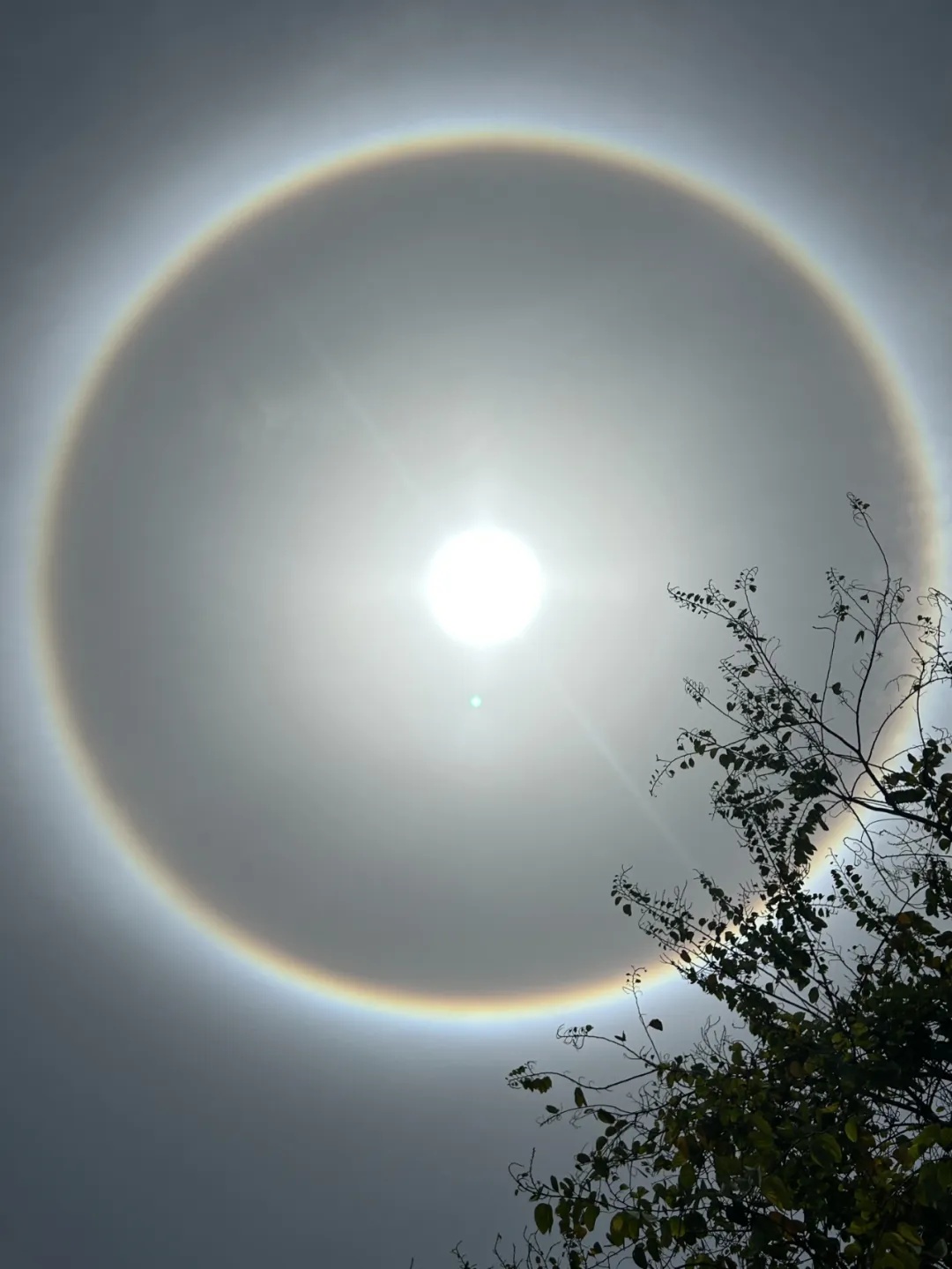 南宁惊现日晕奇观！你拍到“天空之眼”了吗？