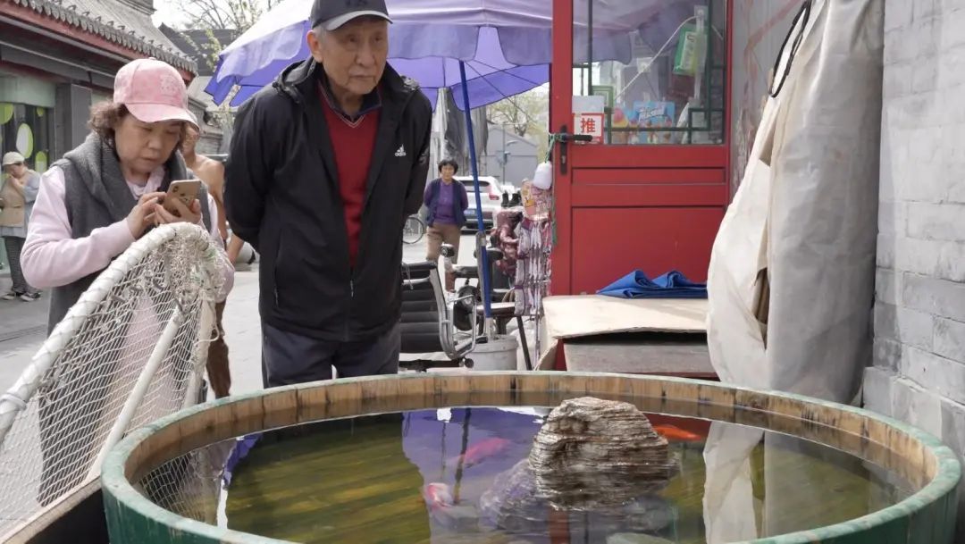 “变化太大了”,邂逅古都春日浪漫,白塔寺citywalk! “变化太大了”,邂逅古都春日浪漫,白塔寺citywalk!