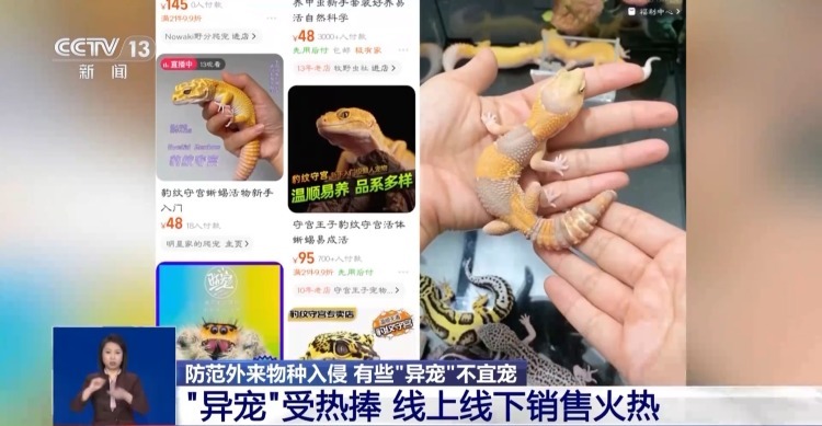 有些“异宠”不宜宠 专家：购买饲养前要做到“三查”