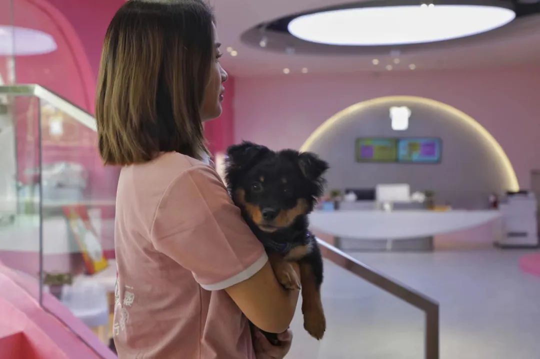 就在广州!全国首个宠物航站楼来啦 就在广州!全国首个宠物航站楼来啦