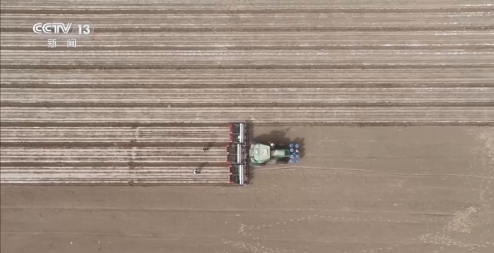 棉花套种孜然、智能化播种……各地春播有序推进