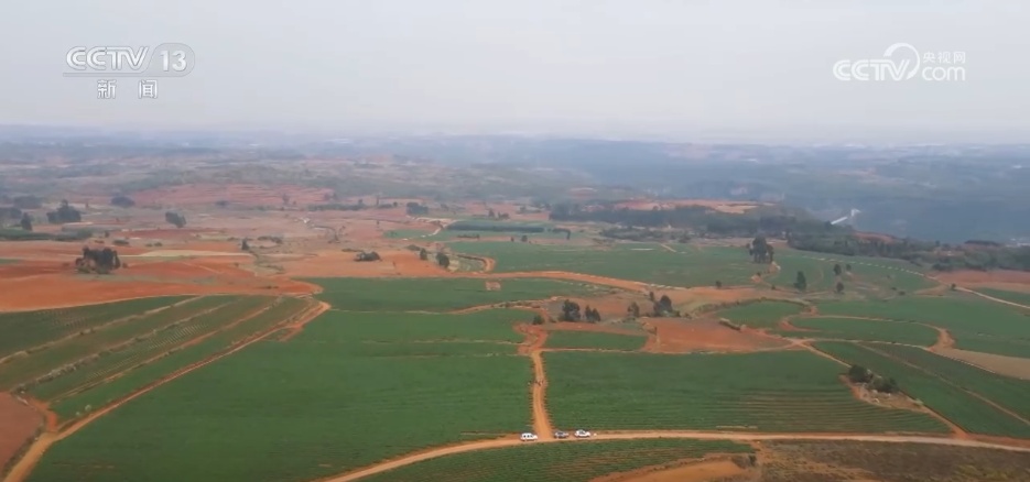 科技“点亮”希望的田野 绘就一幅幅多彩春日生产画卷