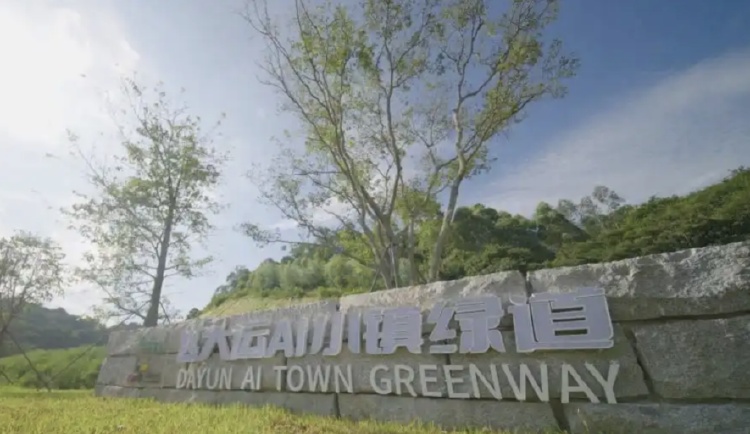 深圳一绿道现“搓衣板式”减速带？官方回应！