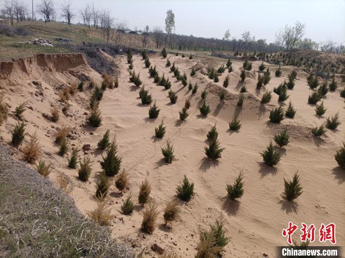 陕西聚力打好黄河“几字弯”攻坚战