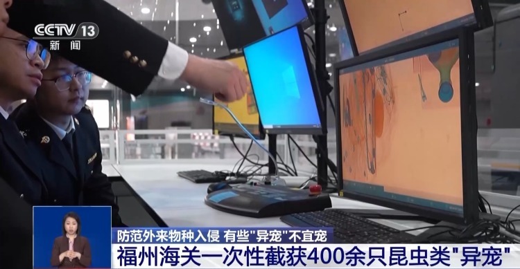 有些“异宠”不宜宠 专家：购买饲养前要做到“三查”