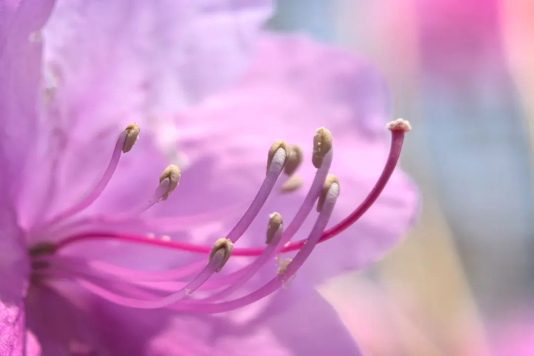 辽宁有医院每天接诊近百人 近期高发,严重可致命 辽宁有医院每天接诊近百人 近期高发,严重可致命